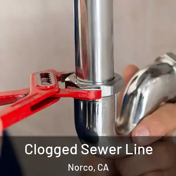  Clogged Sewer Line Norco, CA