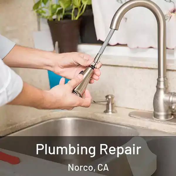  Plumbing Repair Norco, CA