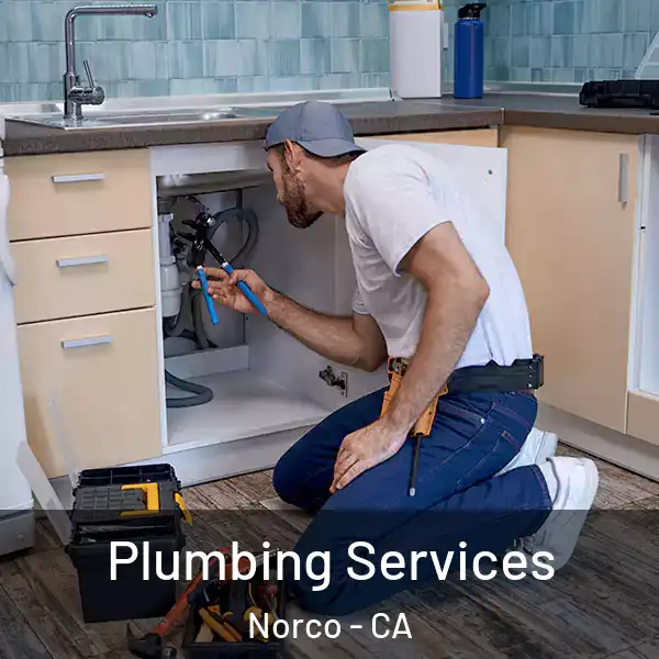  Plumbing Services Norco - CA