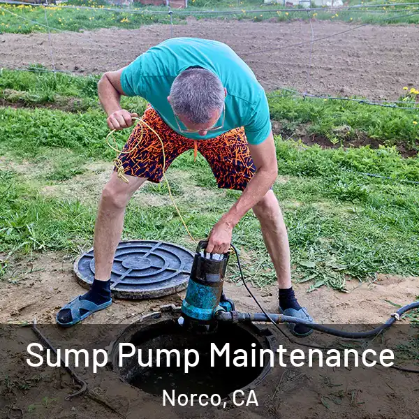  Sump Pump Maintenance Norco, CA