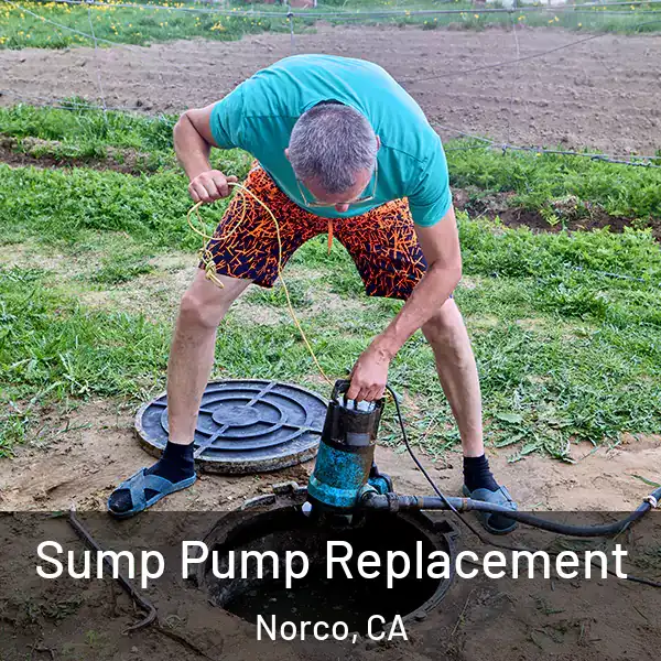  Sump Pump Replacement Norco, CA