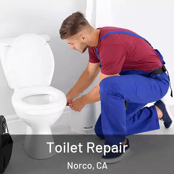  Toilet Repair Norco, CA