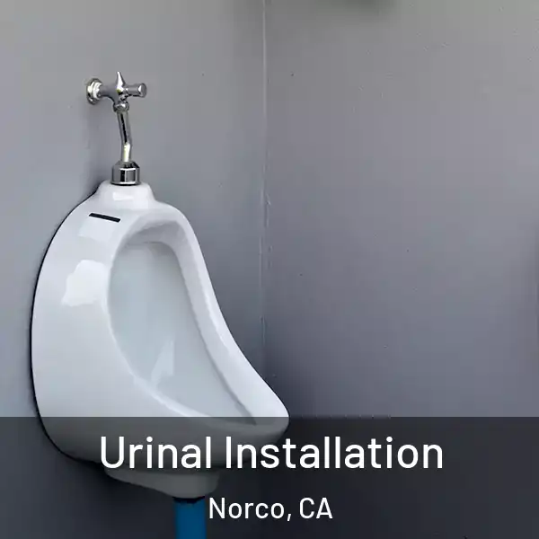  Urinal Installation Norco, CA