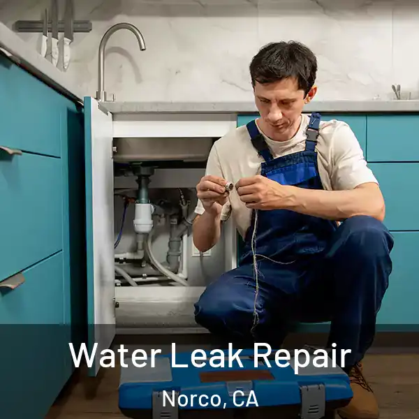  Water Leak Repair Norco, CA